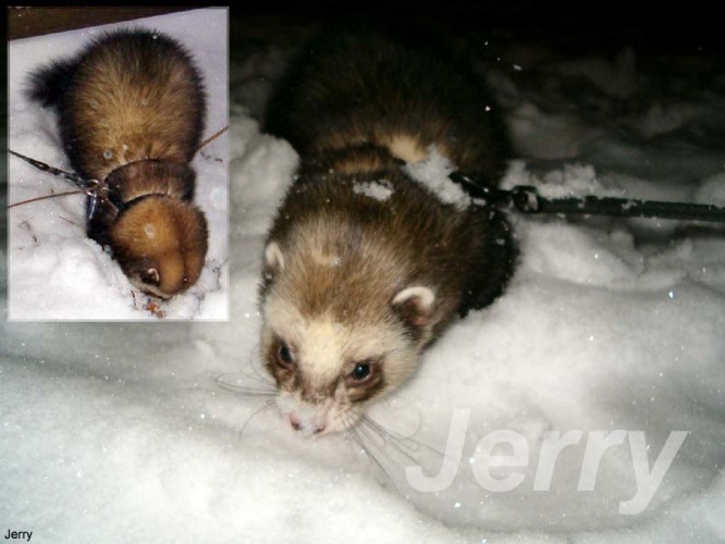 klikněte pro zobrazení původního obrázku